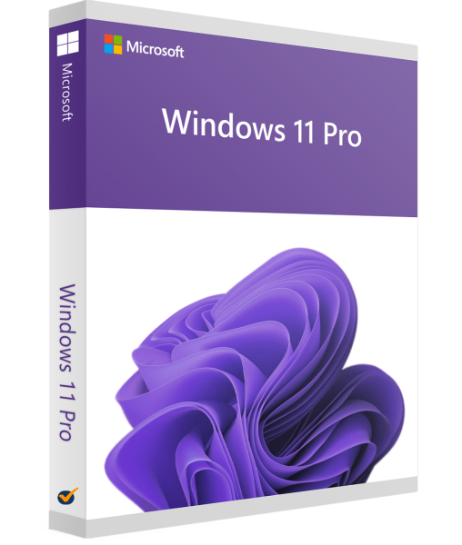 Windows 11 Pro